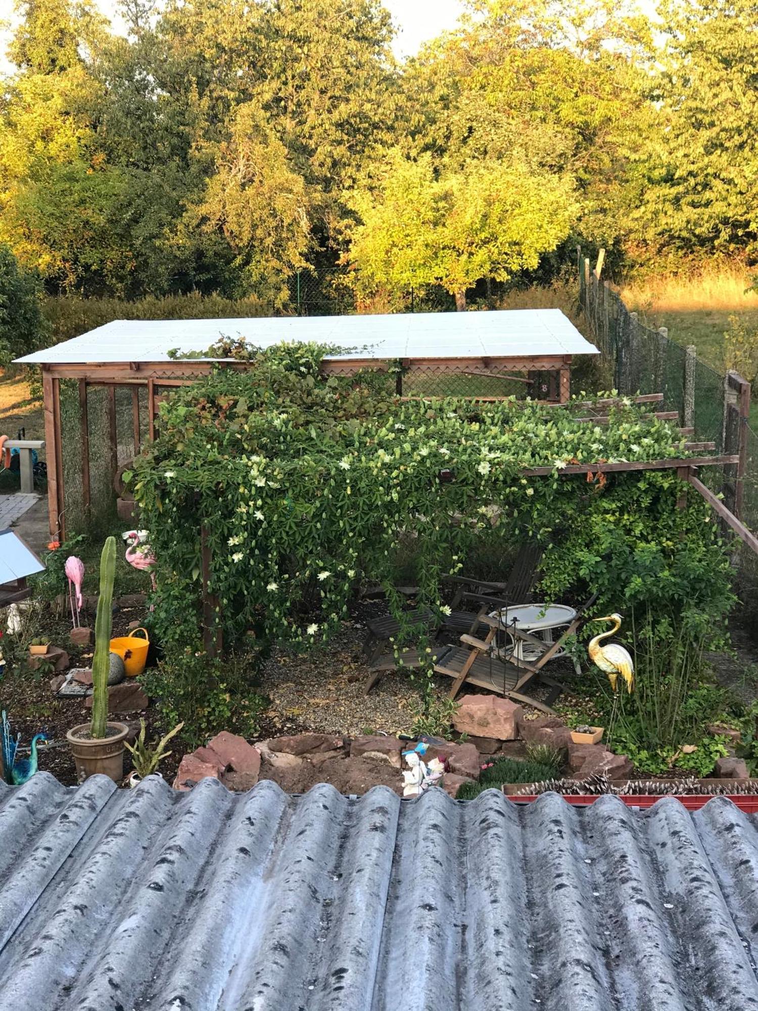 Casa Bella Ella Appartement Vinningen
